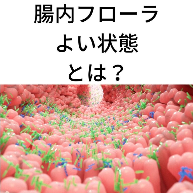 最良の腸内環境を作る4つの食品｜腸内フローラが喜ぶ栄養素とは？