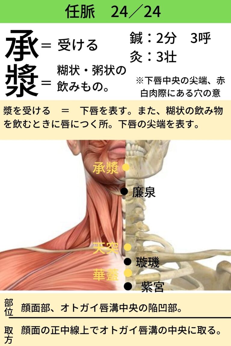 任脈の経穴 Concepition Vessel(CV) 24穴
